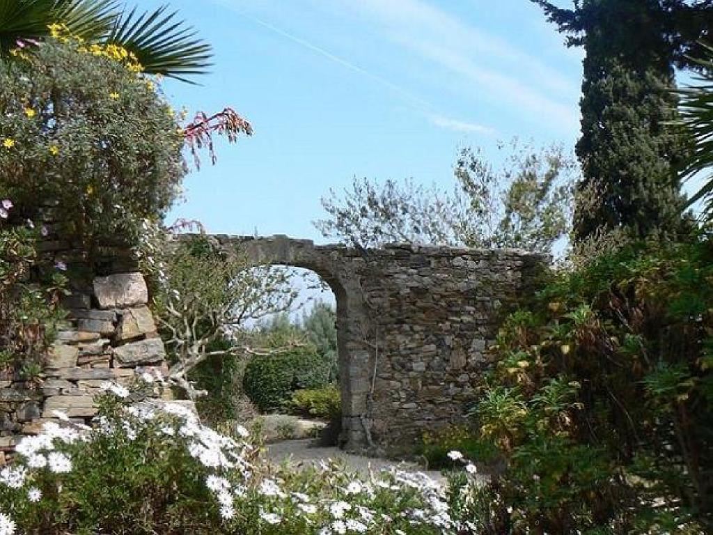 183 HYERES ET SES PALMIERS D02_000013.jpg